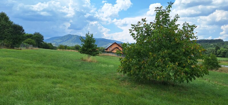 Marginimea Sibiului Teren de vanzare